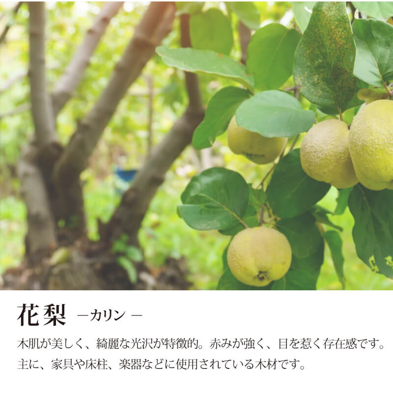 カリンの木札ストラップ 【5営業日出荷】