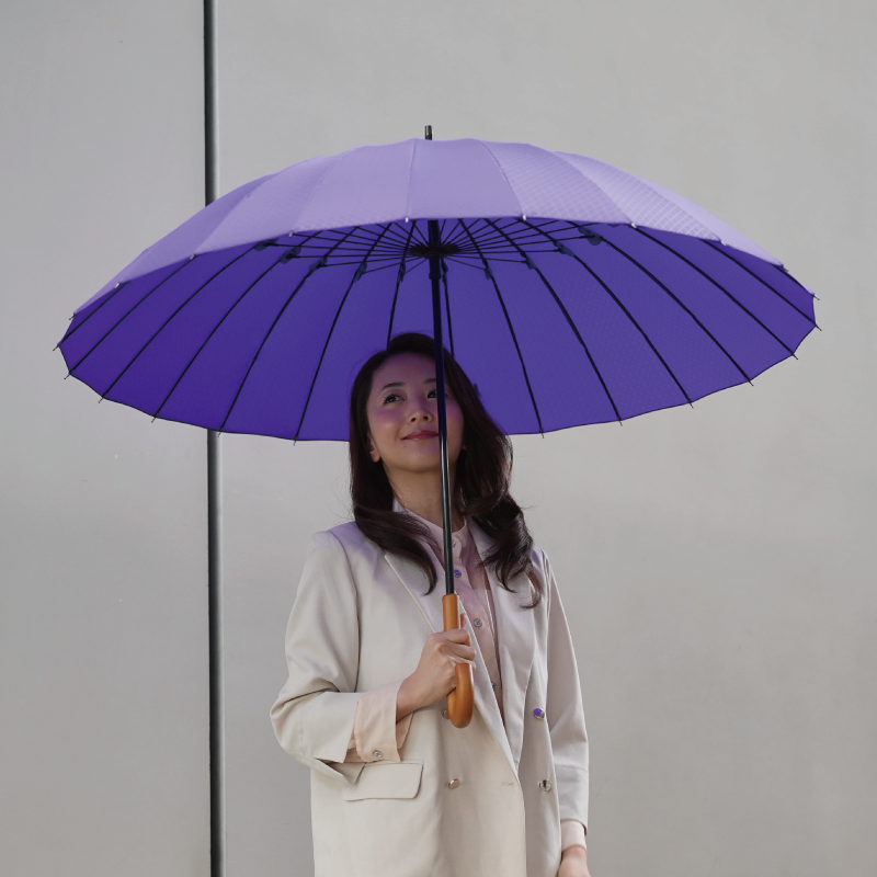 雨日和 - amebiyori - 24本骨傘