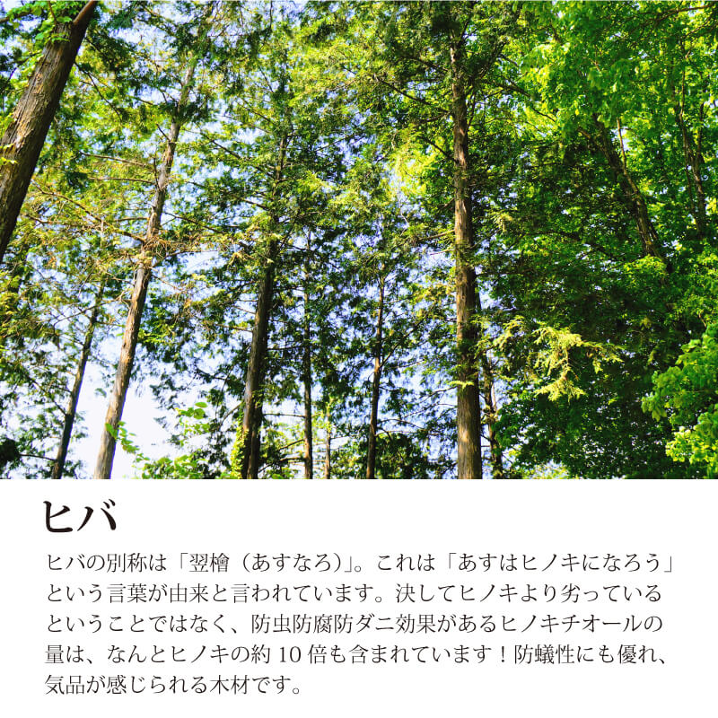 あすなろ・ペア木札