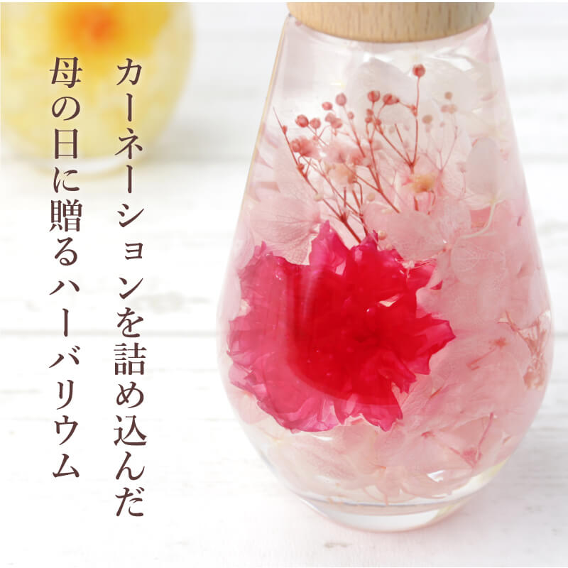 カーネーションハーバリウム