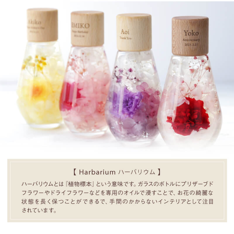 カーネーションハーバリウム