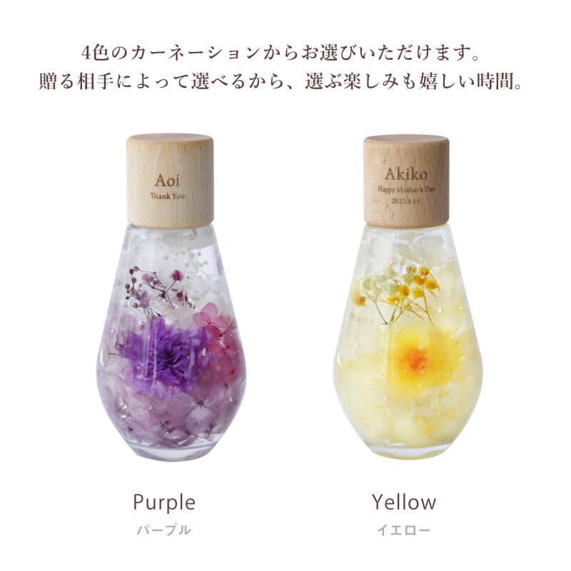 カーネーションハーバリウム