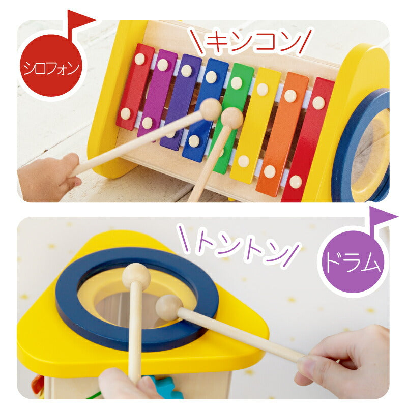 森の音楽会