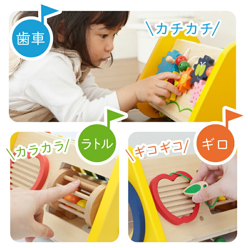 森の音楽会