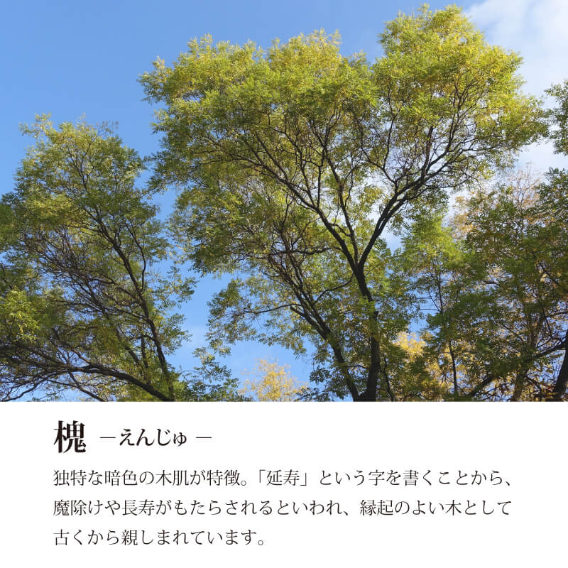 えんじゅ木札