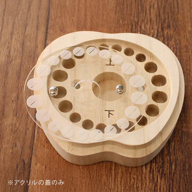 乳歯ケース ティース君専用・アクリルフタ
