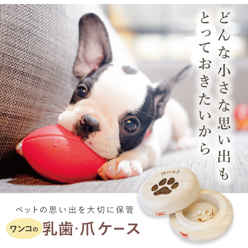 ワンコの乳歯・爪 ケース