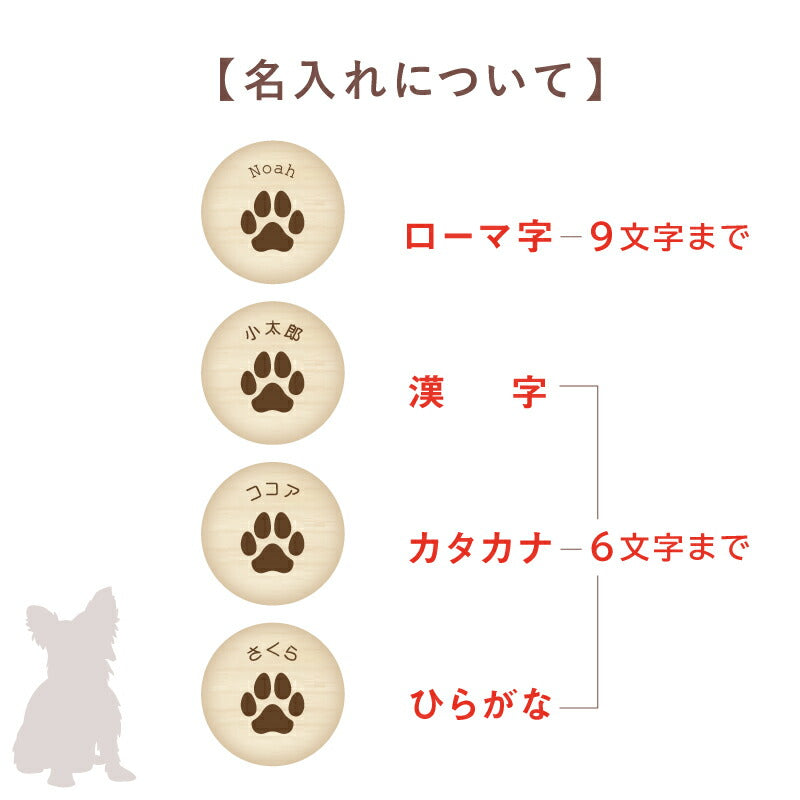 ワンコの乳歯・爪 ケース