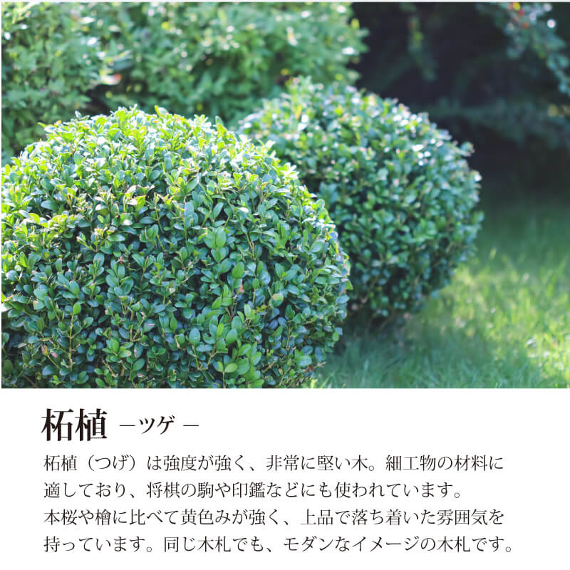 柘植の喧嘩札 【5営業日出荷】