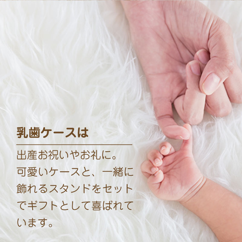 丸型乳歯ケース専用スタンド