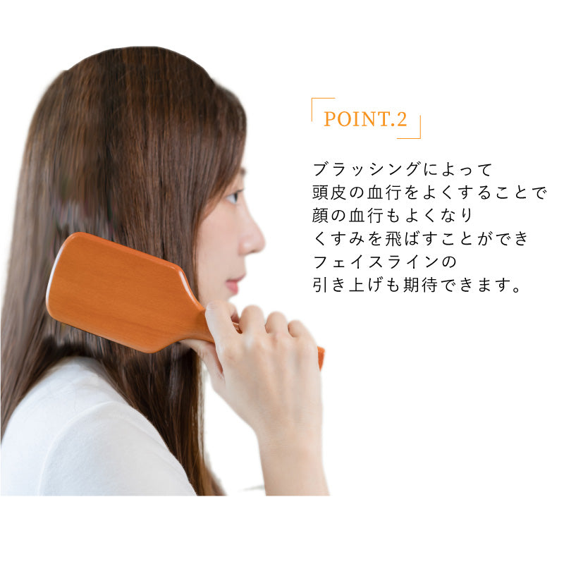 AVEDA ミニパドルブラシ & ローズブーケ セット