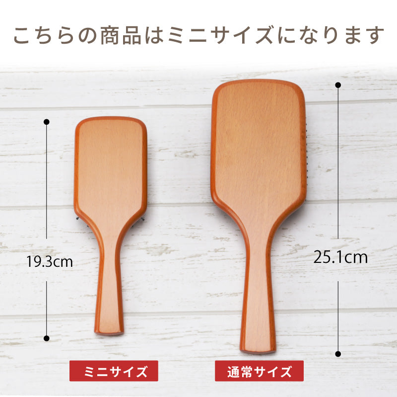 AVEDA ミニパドルブラシ & ローズブーケ セット