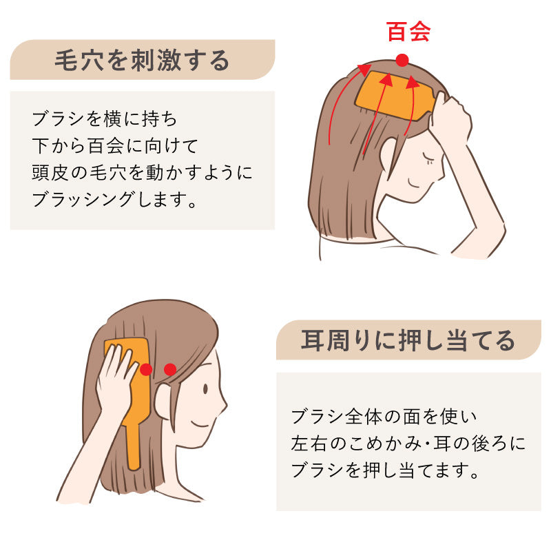 AVEDA パドルブラシ ミニ