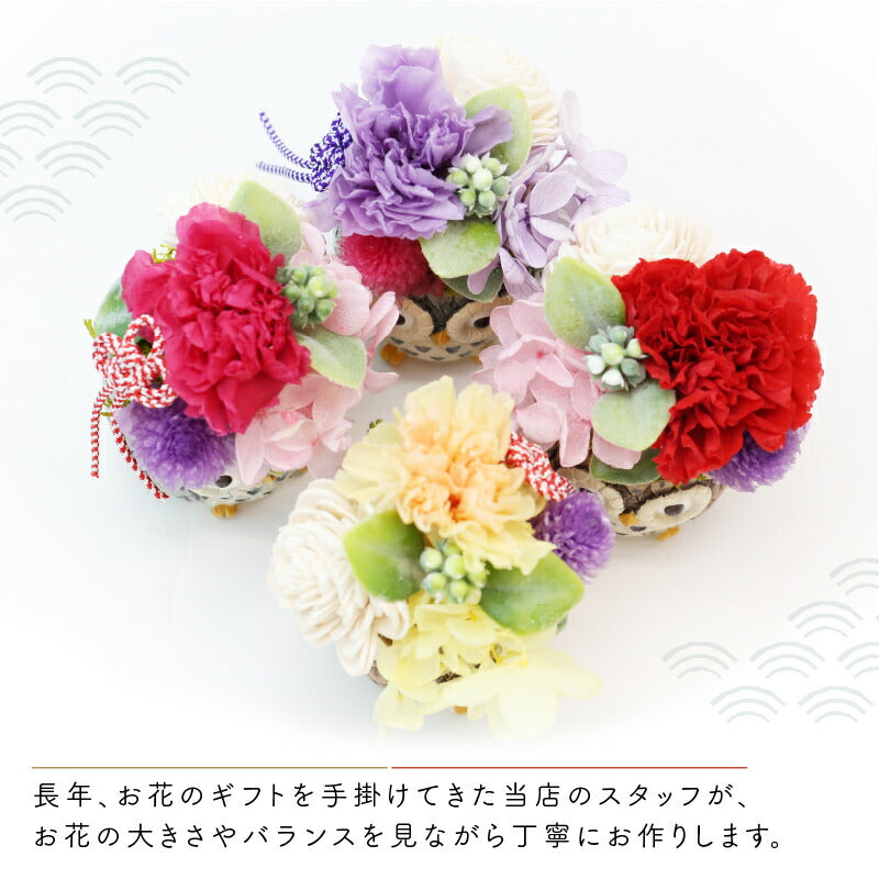 長寿 ふくろう プリザペア