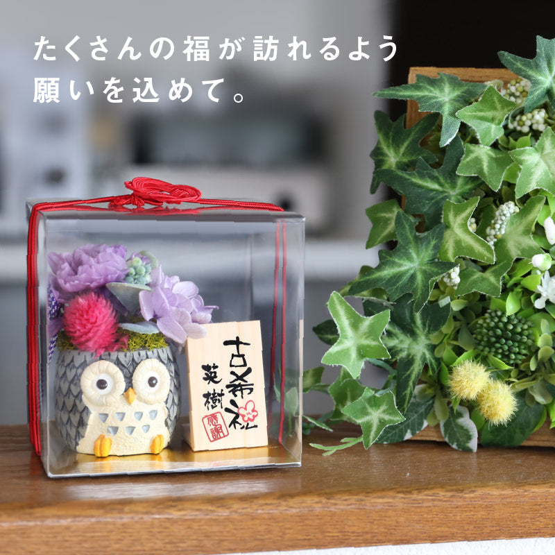 長寿 ふくろう プリザ