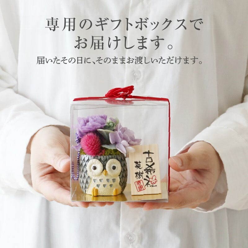 長寿 ふくろう プリザ