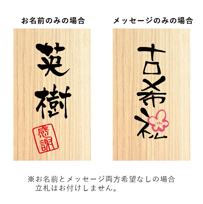 長寿 ふくろう プリザペア