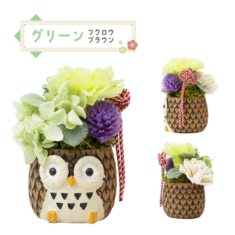 長寿 ふくろう プリザ