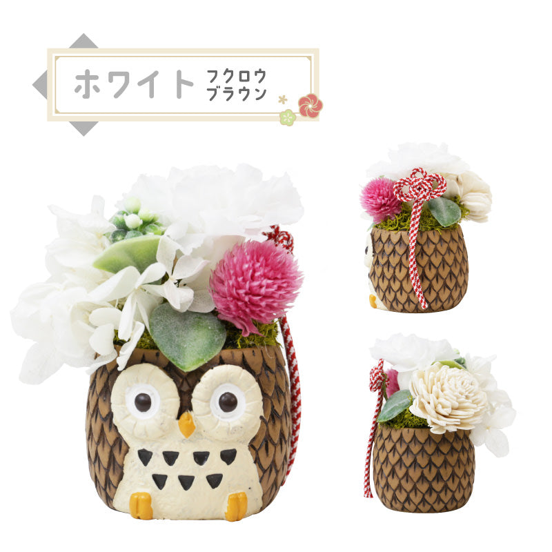 長寿 ふくろう プリザ
