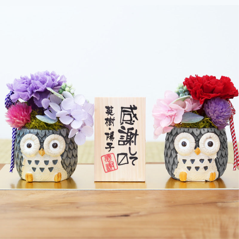 長寿 ふくろう プリザペア