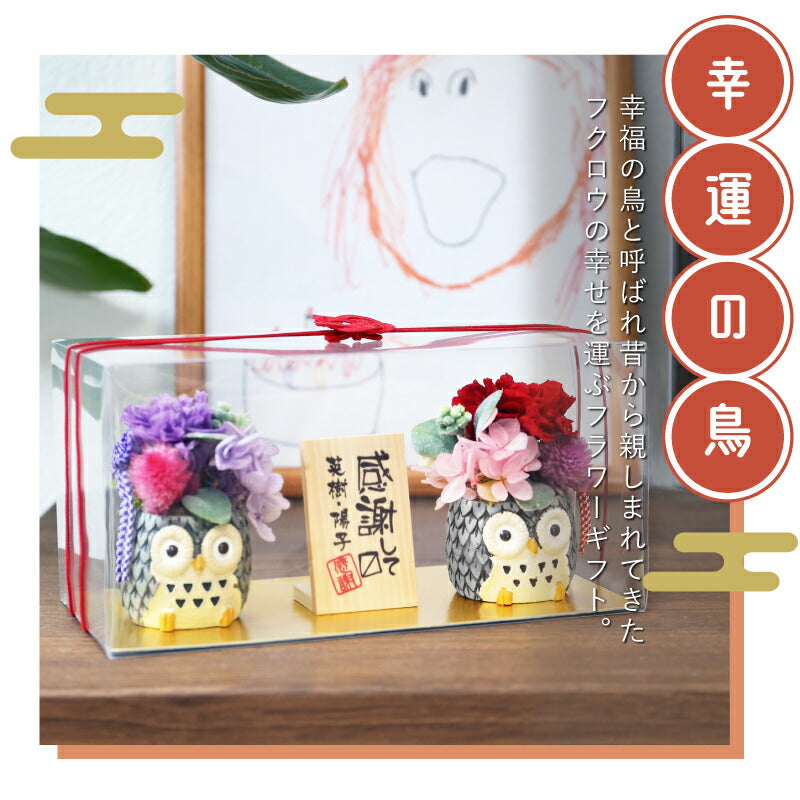 長寿 ふくろう プリザペア