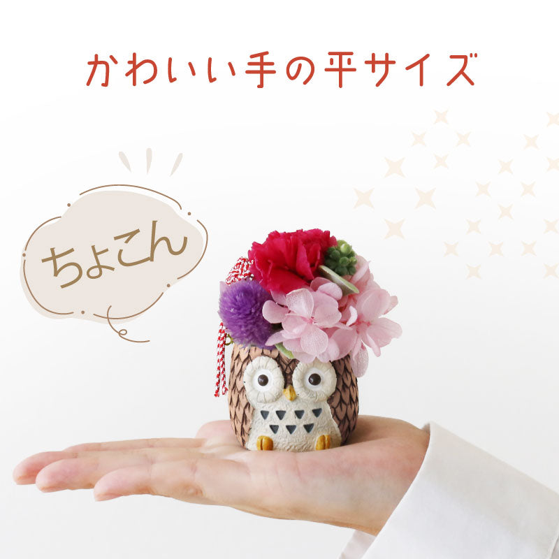 長寿 ふくろう プリザペア