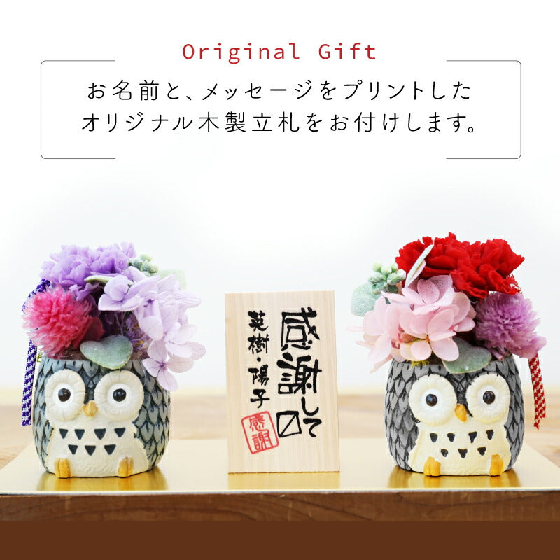 長寿 ふくろう プリザペア