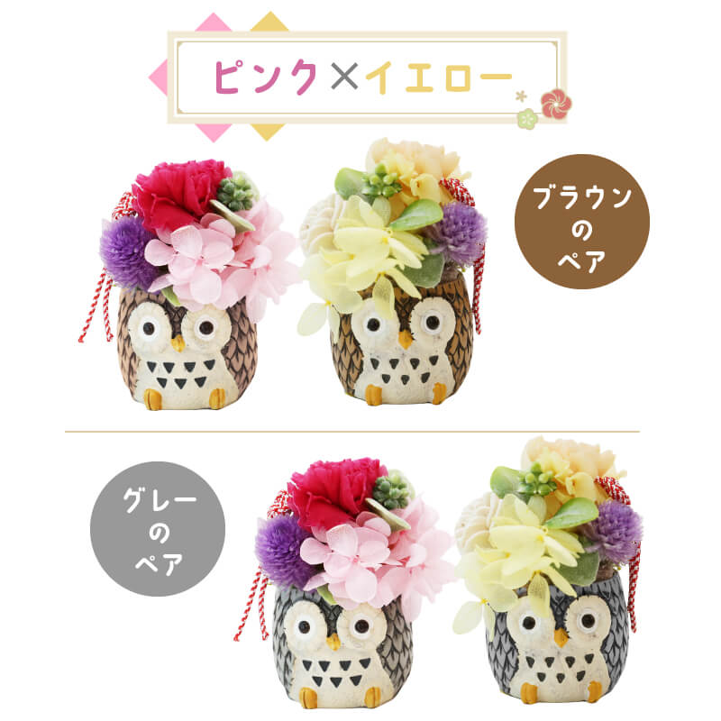 長寿 ふくろう プリザペア