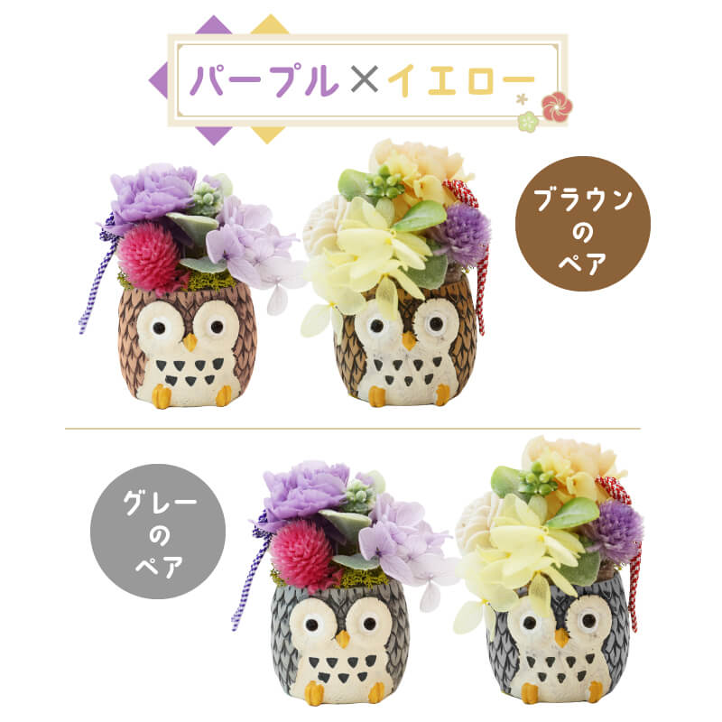 長寿 ふくろう プリザペア