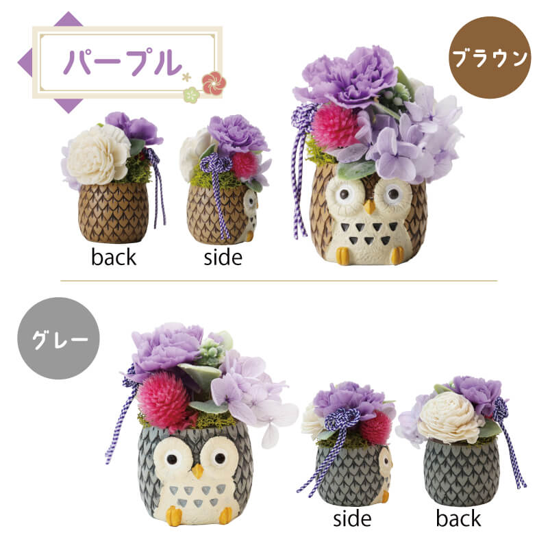 長寿 ふくろう プリザ