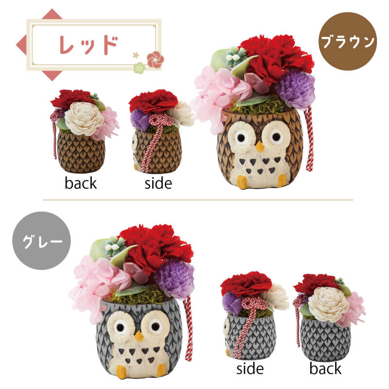 長寿 ふくろう プリザ