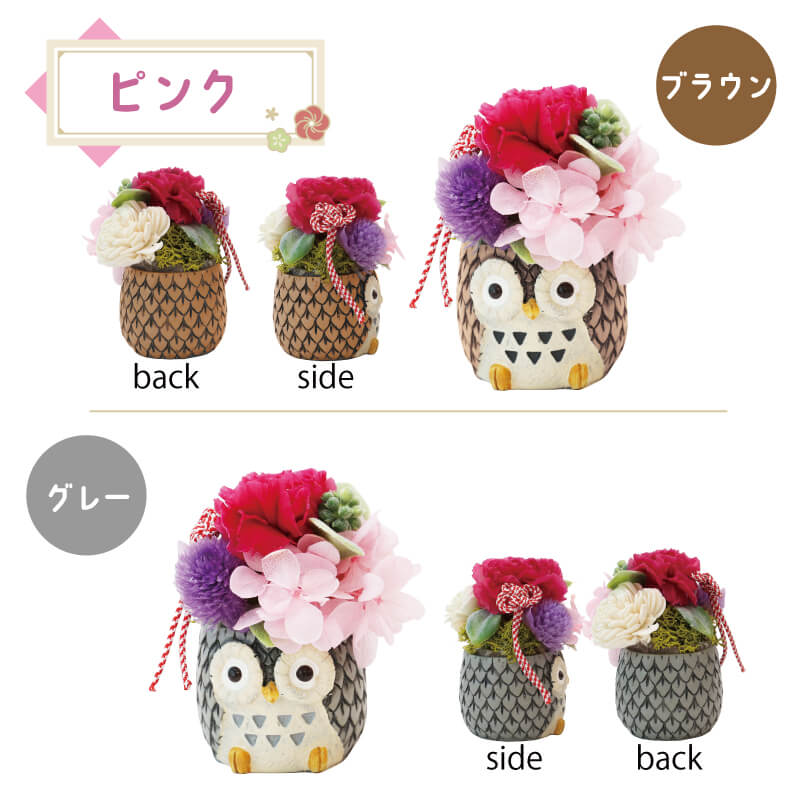 長寿 ふくろう プリザ