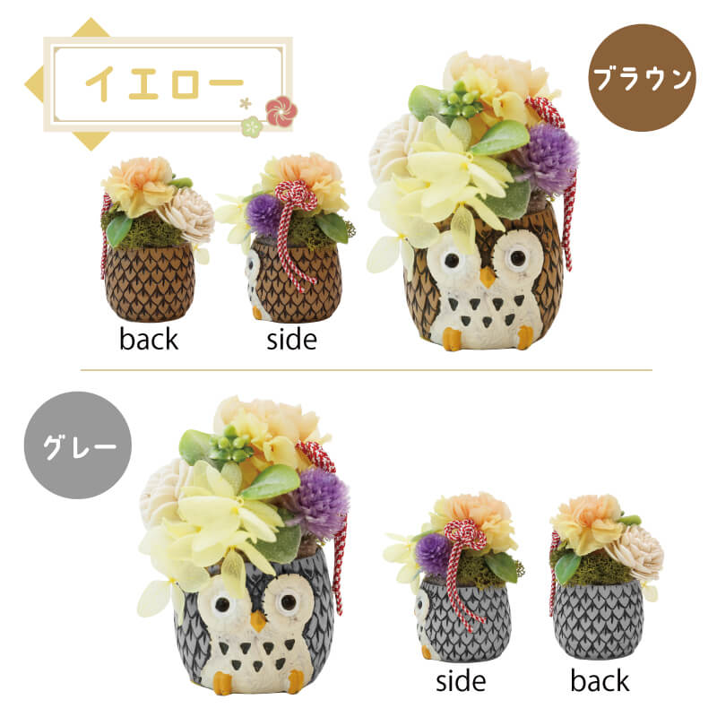 長寿 ふくろう プリザ