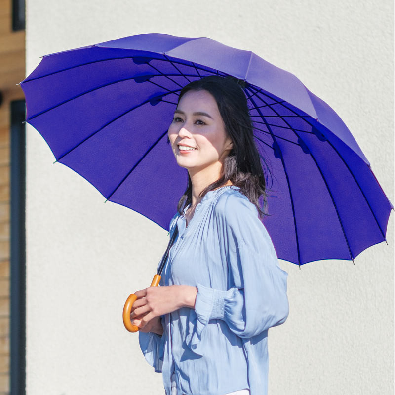 雨日和 - amebiyori - 16本骨傘