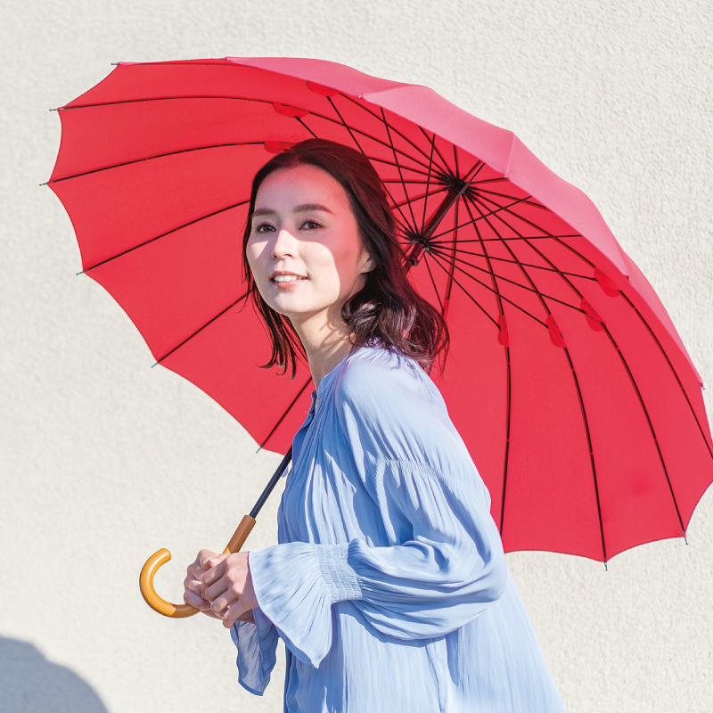 雨日和 - amebiyori - 16本骨傘