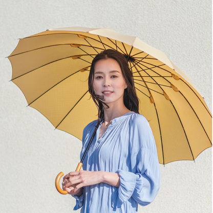 雨日和 - amebiyori - 16本骨傘