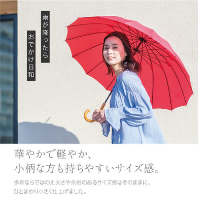 雨日和 - amebiyori - 16本骨傘