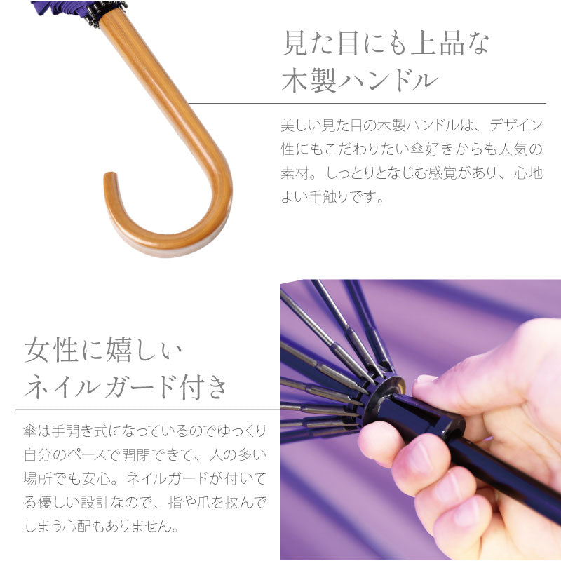 雨日和 - amebiyori - 16本骨傘