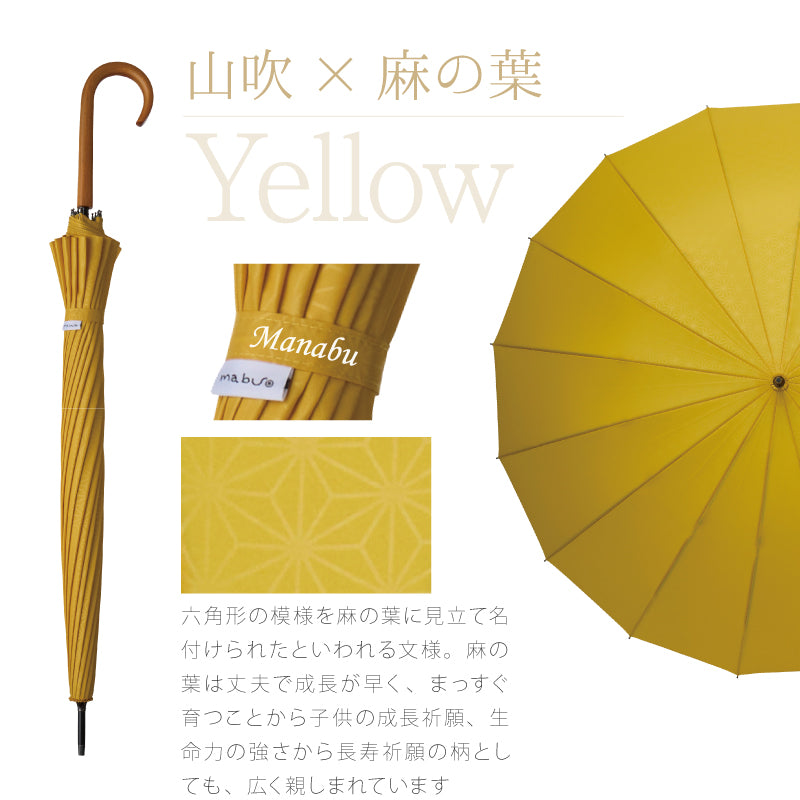 雨日和 - amebiyori - 16本骨傘