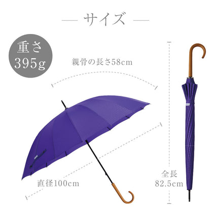 雨日和 - amebiyori - 16本骨傘
