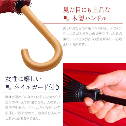 雨日和 - amebiyori - 24本骨傘