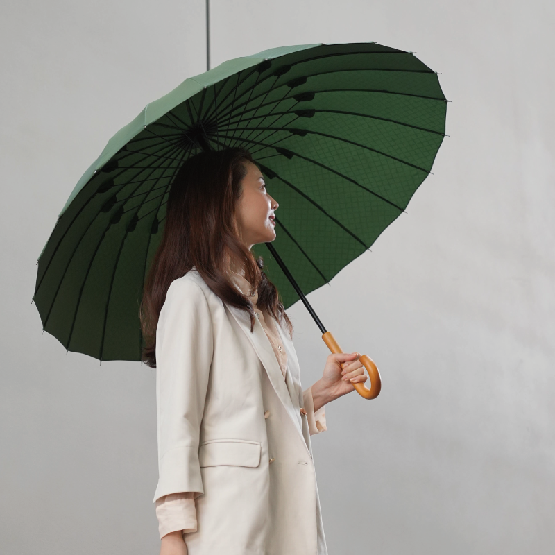 雨日和 - amebiyori - 24本骨傘