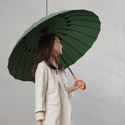 雨日和 - amebiyori - 24本骨傘