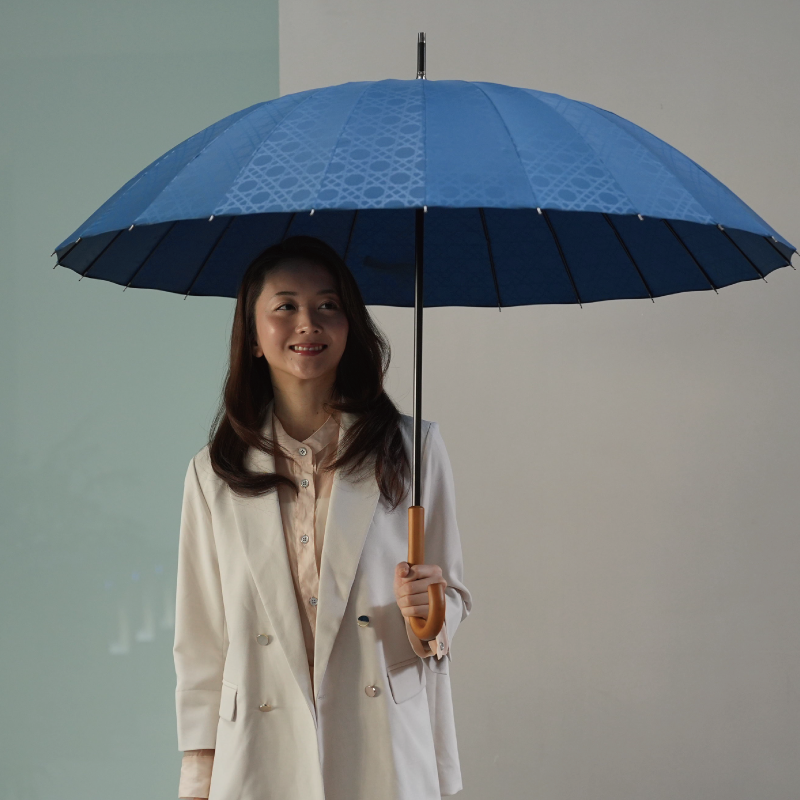 雨日和 - amebiyori - 24本骨傘