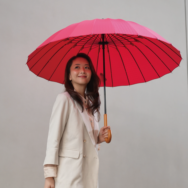 雨日和 - amebiyori - 24本骨傘