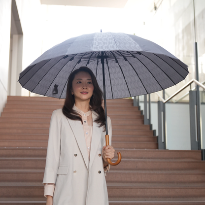 雨日和 - amebiyori - 24本骨傘