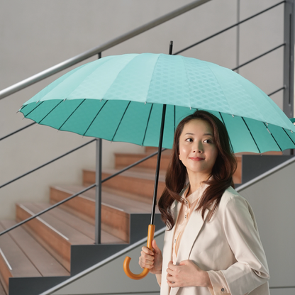 雨日和 - amebiyori - 24本骨傘