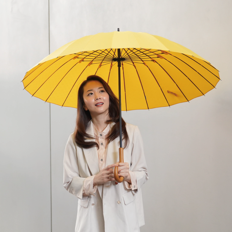 雨日和 - amebiyori - 24本骨傘