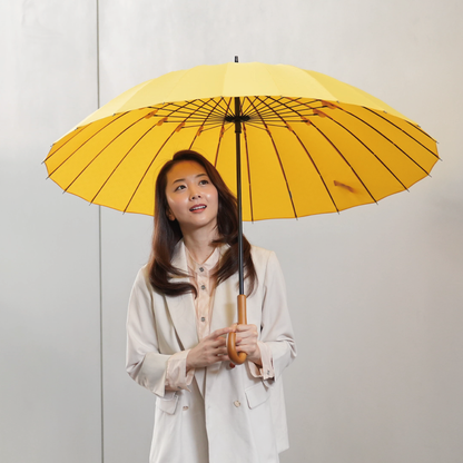 雨日和 - amebiyori - 24本骨傘