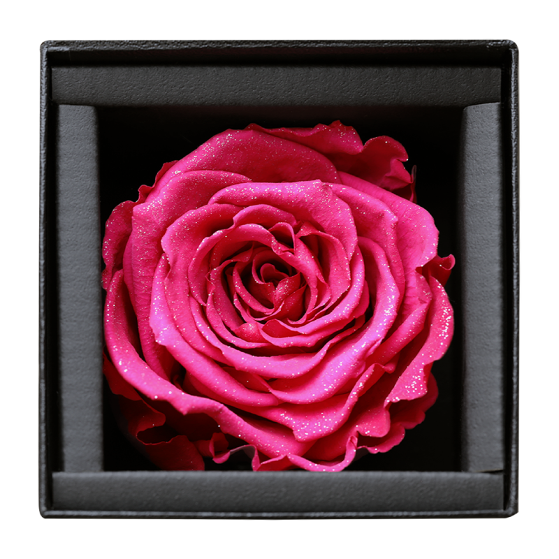 アモローサ - AMOROSA -